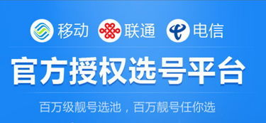 中國(guó)鐵通服務(wù)熱線與網(wǎng)絡(luò)技術(shù)服務(wù)指南